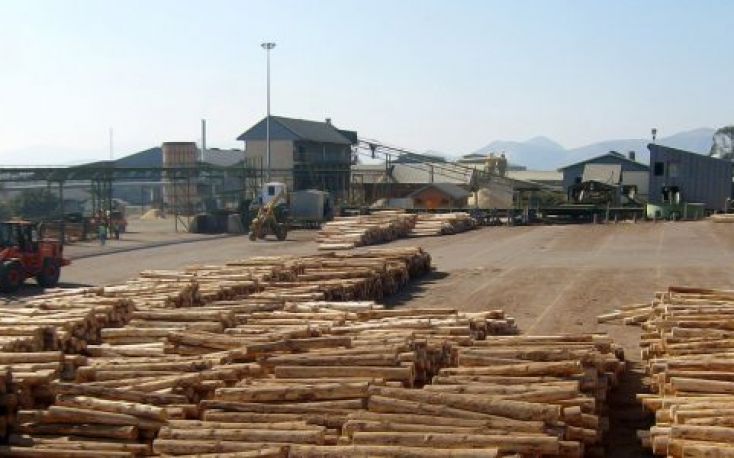 中国计划15亿美元在俄罗斯木材处理复杂缩略图
