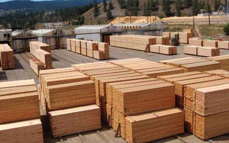 加拿大政府宣布计划投资1500万美元在一个木头颗粒和锯木厂复杂缩略图
