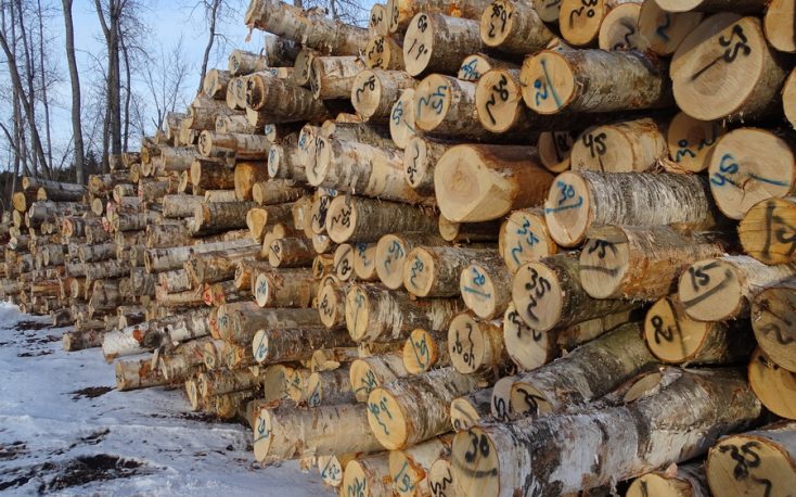 瑞典可锯木的价格在2018年第三季度上升缩略图