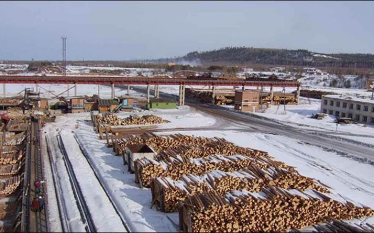俄罗斯泰坦集团增加锯木,木颗粒生产缩略图