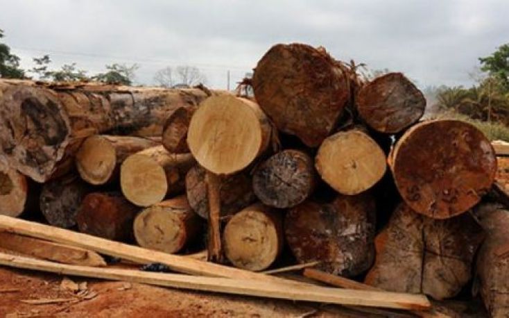 加纳:木材产品的最新价格缩略图