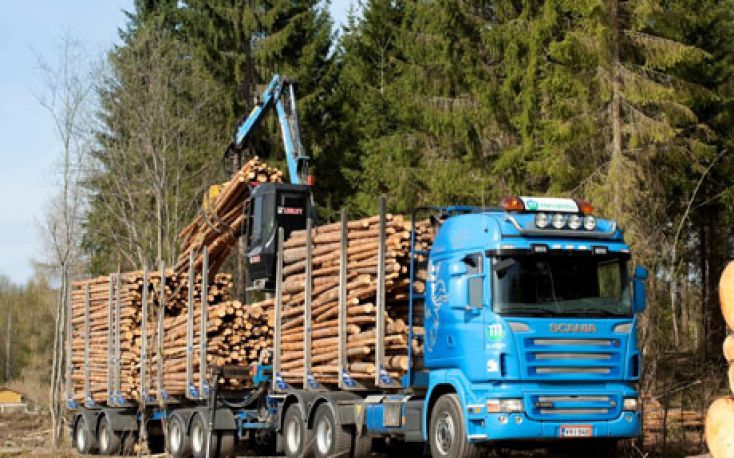 欧盟希望开始与乌克兰贸易仲裁解除木材出口禁令缩略图