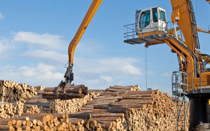 RFP集团计划在俄罗斯远东地区建立木材加工厂缩略图