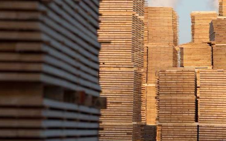 印度:当前木材产品的价格缩略图