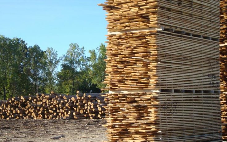 蓬勃发展的白俄罗斯软木木材出口到欧洲缩略图