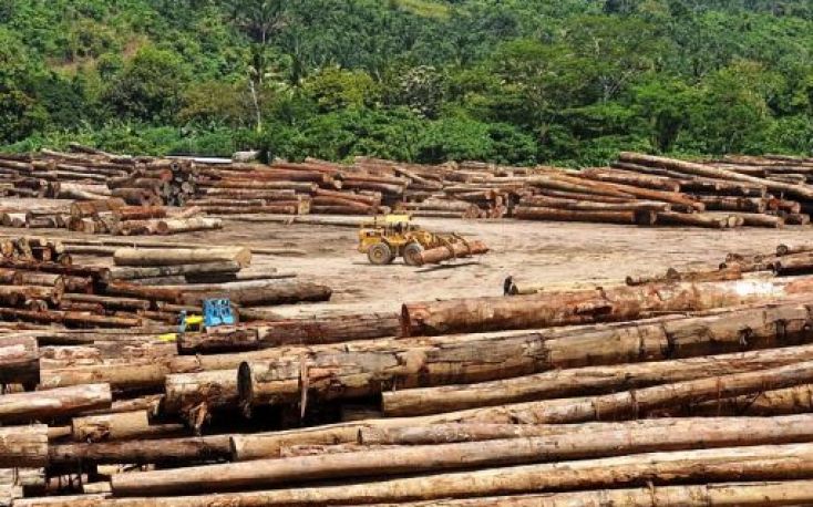 木材业在沙巴可能恢复一次日志出口禁令缩略图