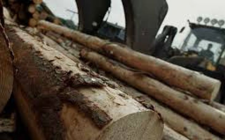 冰山木材符合条件完成收购Norvik木材行业在波罗的海国家缩略图