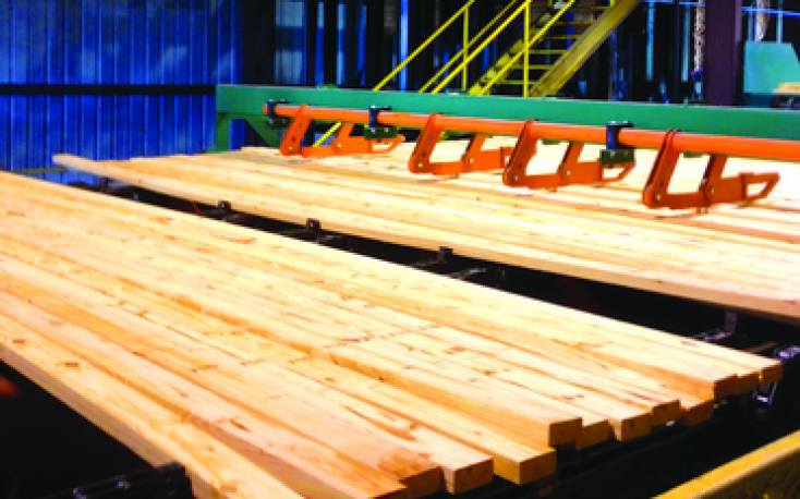 雷克斯木材建造新的软木厂在阿拉巴马州缩略图