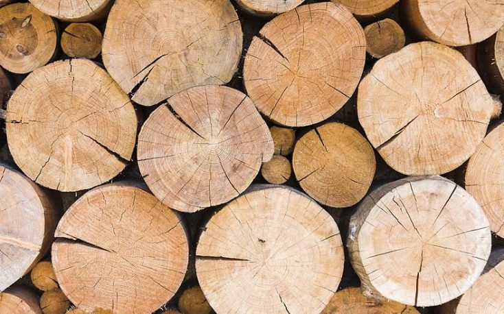 马来西亚木材出口预计将在2018年上升5%缩略图
