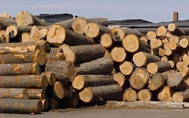 木材产品出口越南Q1-Q3 2017年增长达到11.3%缩略图